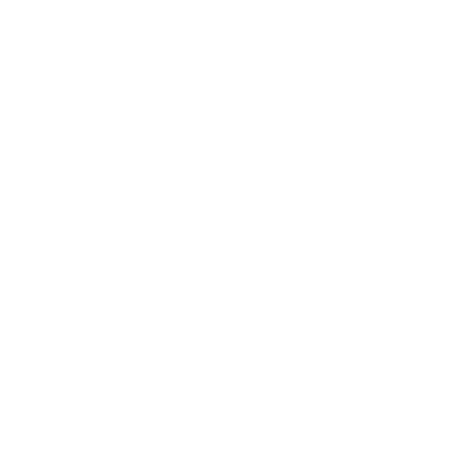 Google AI Overview